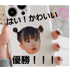 yoshimama_20250212163918