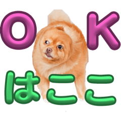 Derin_20250212195459