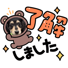 mameちゃま