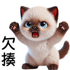 cute Siamese Cat [TW]