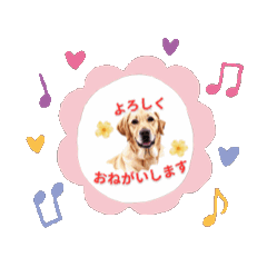 nana_20250212232623