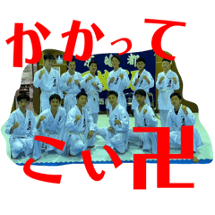 hikari_20250212083014