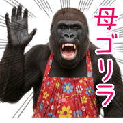 mother gorilla!