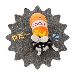kuchan stamp@@