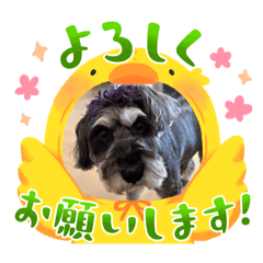 airi_20250212220938