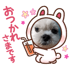 sinnba_20250213002530