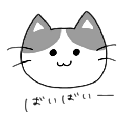 Chinatsu_20250212202022
