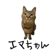 Uchino Emma Chan stamp 2