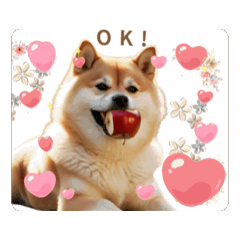 nana_20250212230223