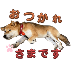 nao_20250212230655
