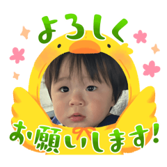 kaimima_20250213123558