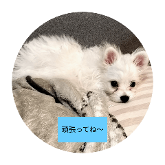 ran_mama