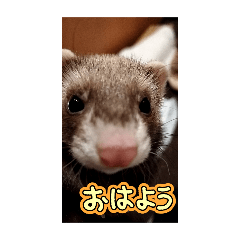 kono_20250213141350