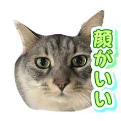 shun_20250213143532