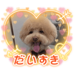 minami_20250213024932
