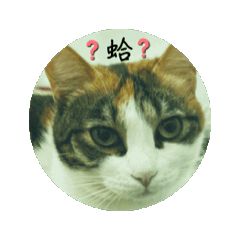 沐沐の動動日常-NEW