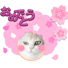 YUKIE_20250213131654