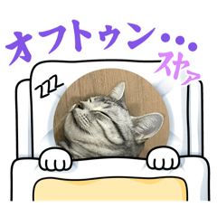 Kaito_20250212211213