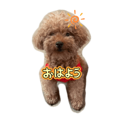 sena_20250213132415