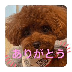 saya_20250213125444