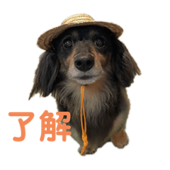 maron mio