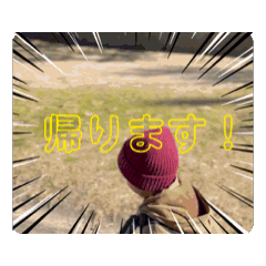 tk_20250213133901