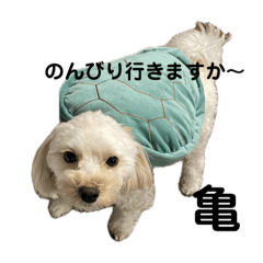 Kim_20250212