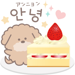 Toy Poodle Korean and Japanese Sweets