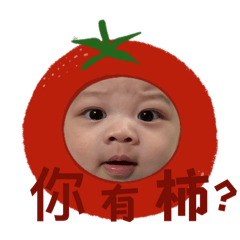 權的內心世界2
