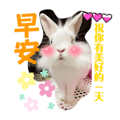 米Q實用貼圖