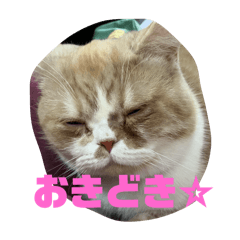 CHIHIRO_20250214003537