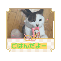 mori_20250213212316