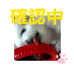 reiko_20250213220833