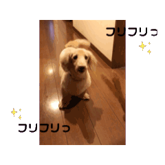 momoko_20250213232249