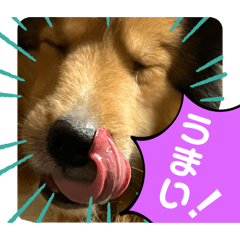 50yen_20250213153857