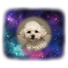 wata_20250213205352