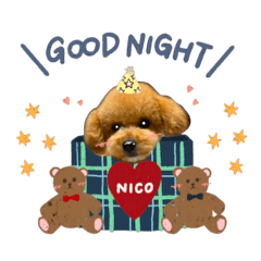 nico_20250213210200
