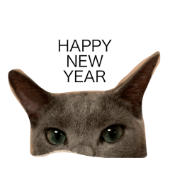rurublouw
