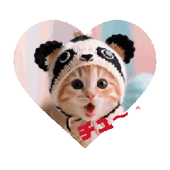 cute mewmew