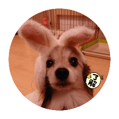 taako_20250213191524