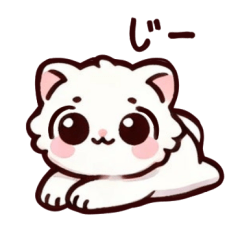 Yuki-chan, a cute white cat