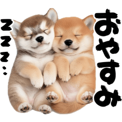 calligraphy shiba inu dog