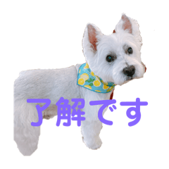 eriko_20250213172049