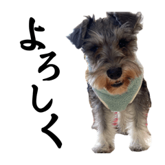 asapiii_20250213211949