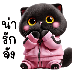 Black cat, cute, pink sweat suit, cute