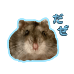 kuu_20250213184502