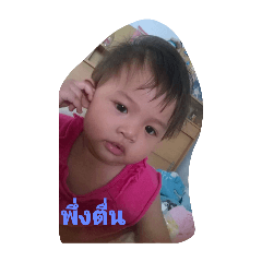 PAILIN_20250213183118