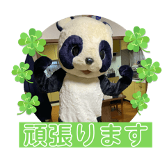 panda_ganbaruyo
