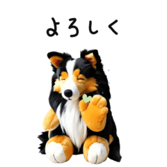 Pop-up Sheltie Plush Toy