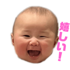 taro_20250213235123